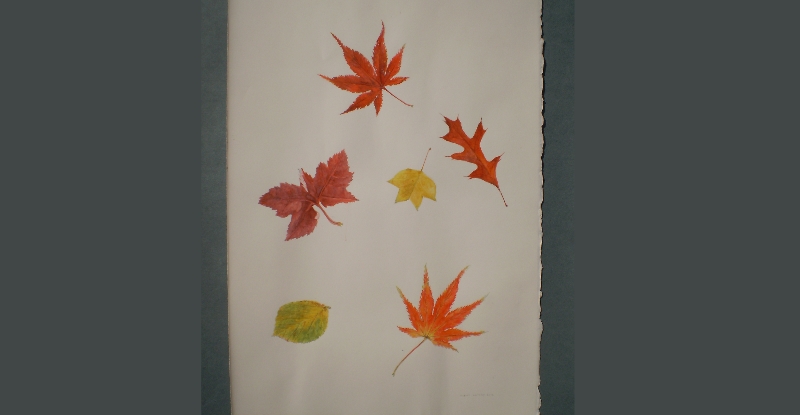 Bladeren aquarel op papier
